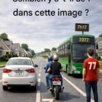 🐬 Combien de dauphins pouvez-vous repérer sur l’image ?