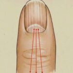 🌿 Si vous avez entre 55 et 75 ans : ces 7 choses qu’il vaut mieux garder pour soi