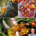 7 bienfaits potentiels de l’huile de ricin utilisée le soir