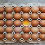 Les bienfaits du pourpier pour la digestion