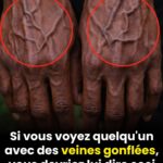 L’origan : l’une des plantes les plus puissantes au monde pour votre bien-être
