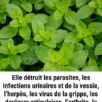 Les médecins révèlent ce qui se passe réellement lorsque vous buvez du café chaque matin