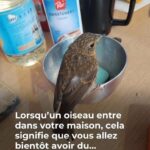 La plupart des gens les jettent : 10 astuces ingénieuses pour réutiliser vos vieux étuis à lunettes