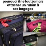 Découvrez le charme oublié d’un ustensile traditionnel qui a marqué nos cuisines