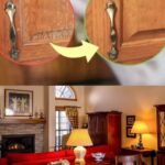 Pourquoi les portes des fours se cassent-elles et comment l’éviter ?